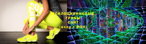 сатива Заволжье